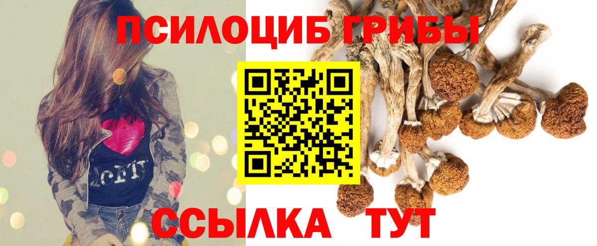Архангельск  Псилоцибиновые грибы Magic Shrooms  Вход с VPN 